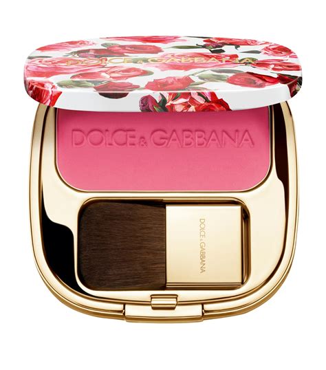 blush of roses dolce gabbana|dolce gabbana professional blush.